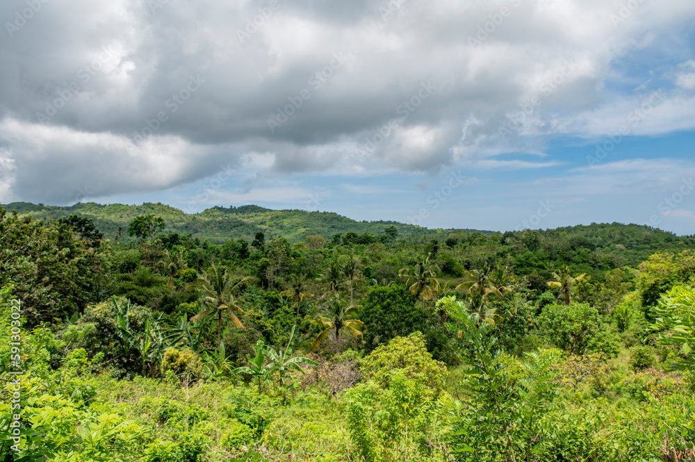 Rain forest valley with green greens and dark clouds