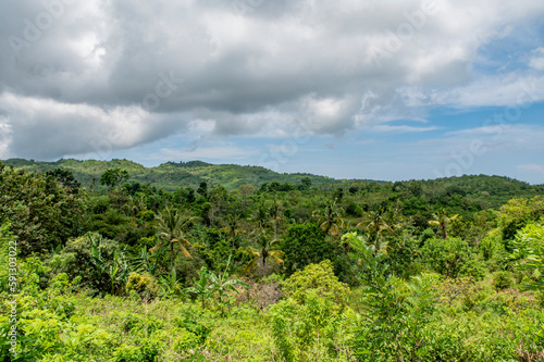 Rain forest valley with green greens and dark clouds