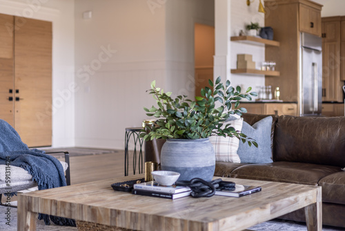 living room interior