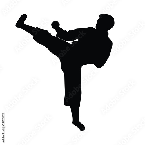 icon of man doing taekwondo kick vector