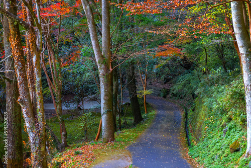 A Road Leads to Takachiho Gorge in Miyazaki, Japan in Colorful Autumn
