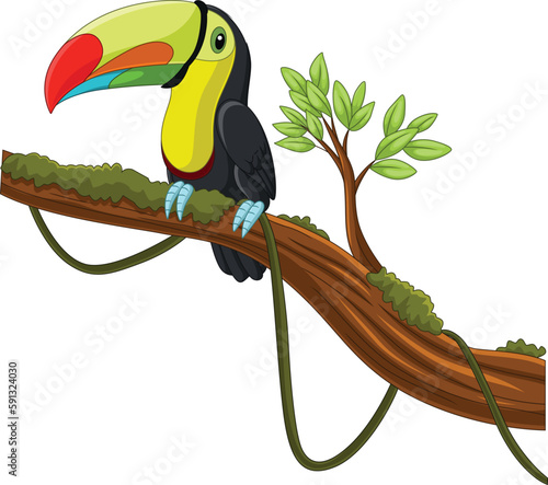 Cartoon toucan bird on a tree branch