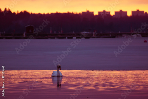 A Sunset In Haukilahti