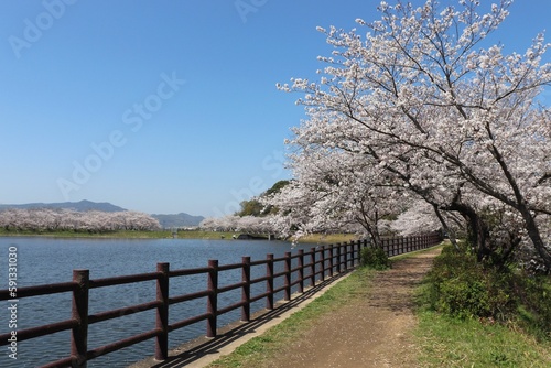 春の立岡自然公園