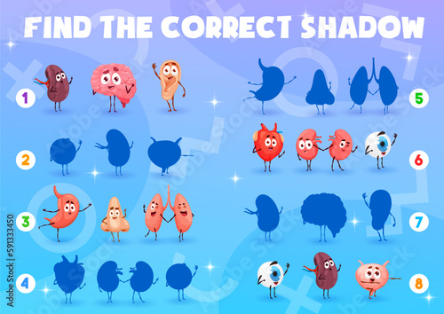 Find correct shadow of cartoon human organ characters, vector quiz game. Heart, brain and funny cute kidneys or nose and eye, health and medicine shadow matching puzzle game with spleen and bladder