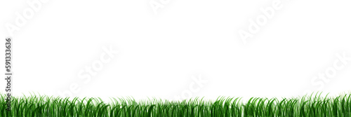 草　草原　風景　背景