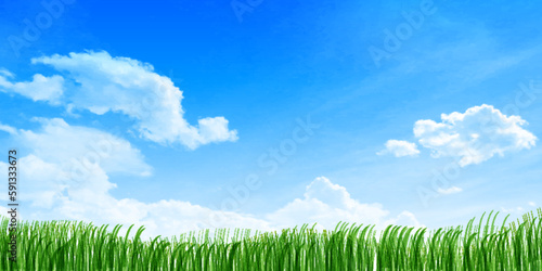 空　草原　風景　背景