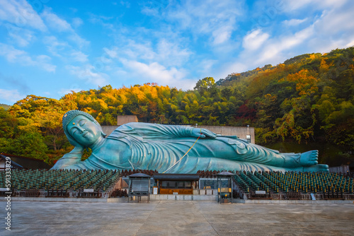Fukuoka, Japan - Nov 21 2022: Nanzoin Temple in Fukuoka is home to a huge statue of the Reclining Buddha (Nehanzo) which claims to be the largest bronze statue in the world. photo