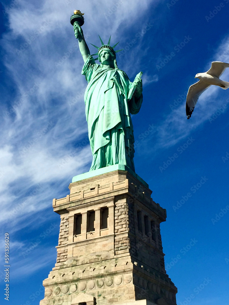 Fototapeta premium seagull flying over liberty statue