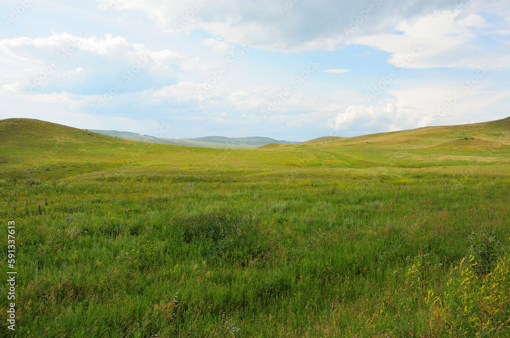 Endless hilly steppe with tall grass at the foot of a mountain range under a bright and cloudy sky.