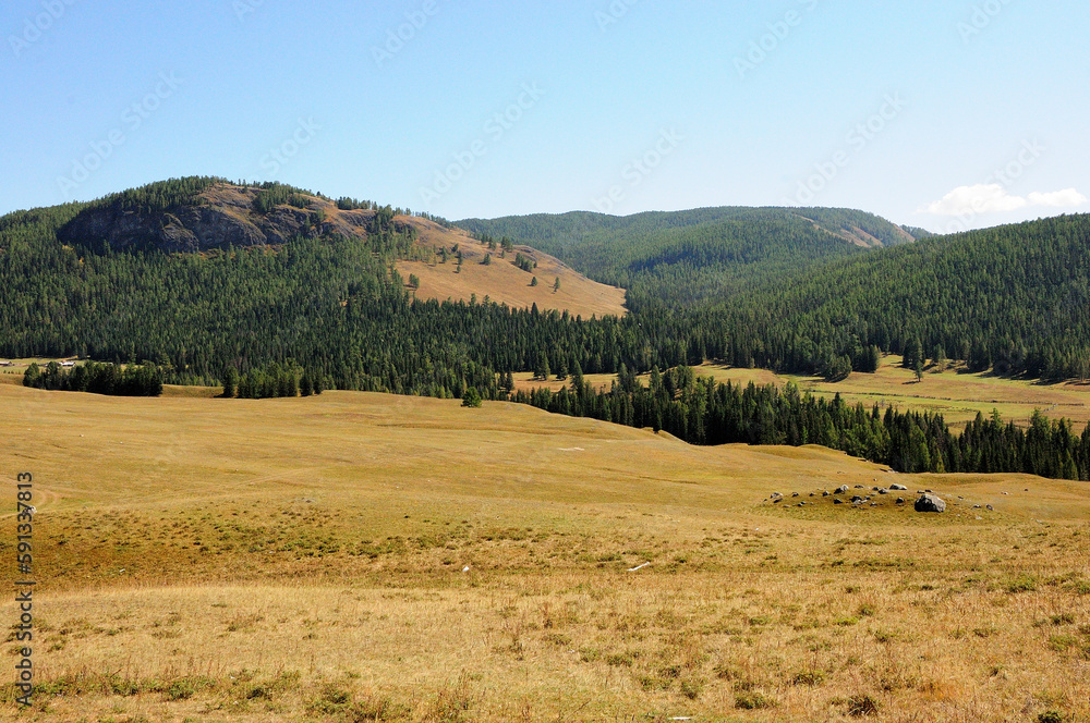 Obraz premium The remains of a small ancient mound with stones in a wide clearing at the foot of the mountains overgrown with dense coniferous forest.