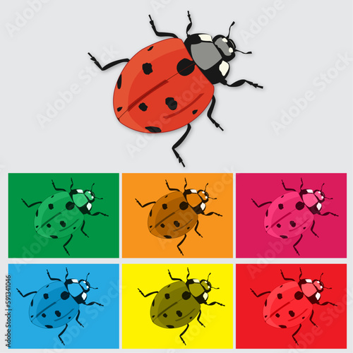Vector ladybug with transparent background for more control and individually layered.