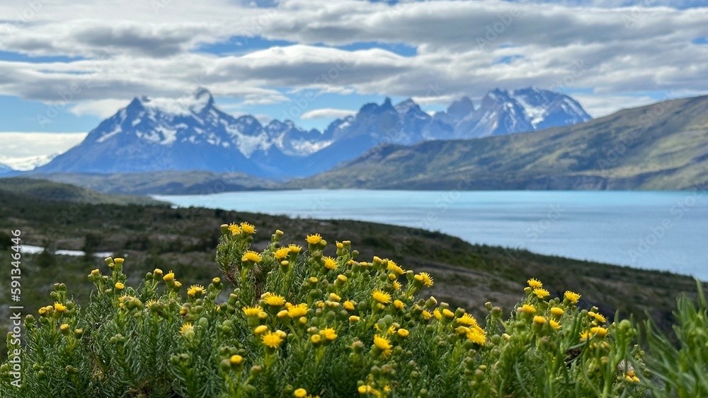 alpine meadow and lake in Patagonia