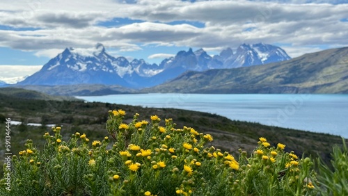 alpine meadow and lake in Patagonia