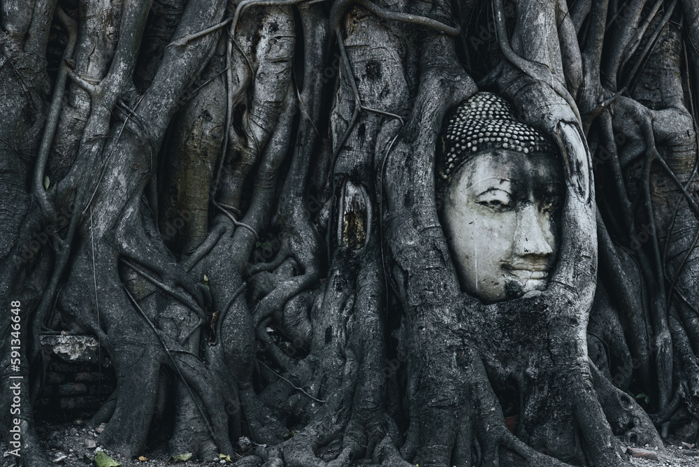 View of the Ayutthaya Buddha head in the tree Roots View of the Ayutthaya Buddha head in the tree Roots