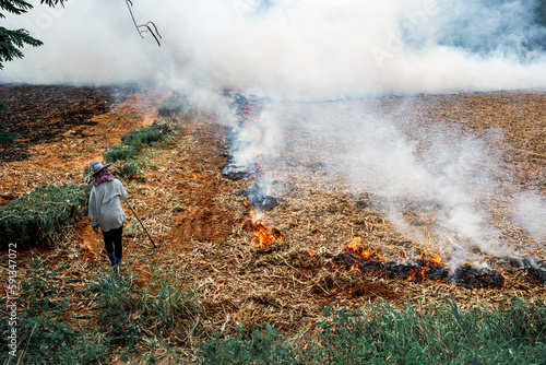 Burning season crop burning in Chiang Mai Thailand