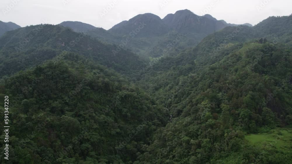 Rising aerial through lush green forested valley on cloudy day Rising aerial through lush green forested valley on cloudy day