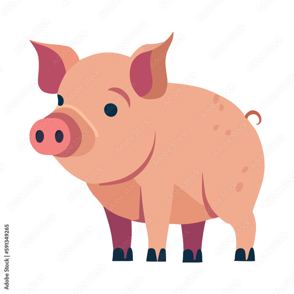 flat pig design flat pig design