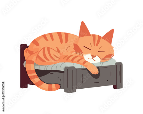 Kitten cuddles pillow in cute cartoon