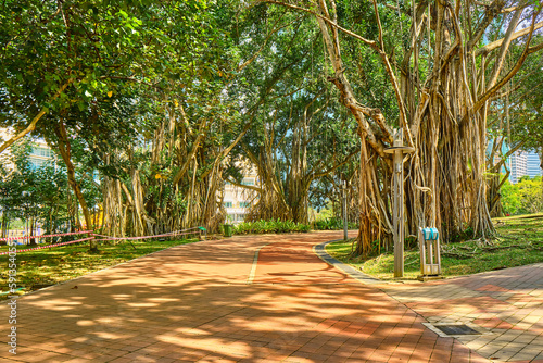 Photography The central park of the city near the Petronas Towers in the daytime