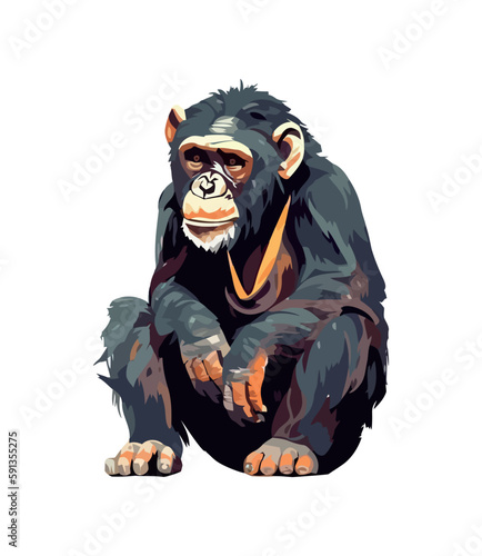 monkey primate animal