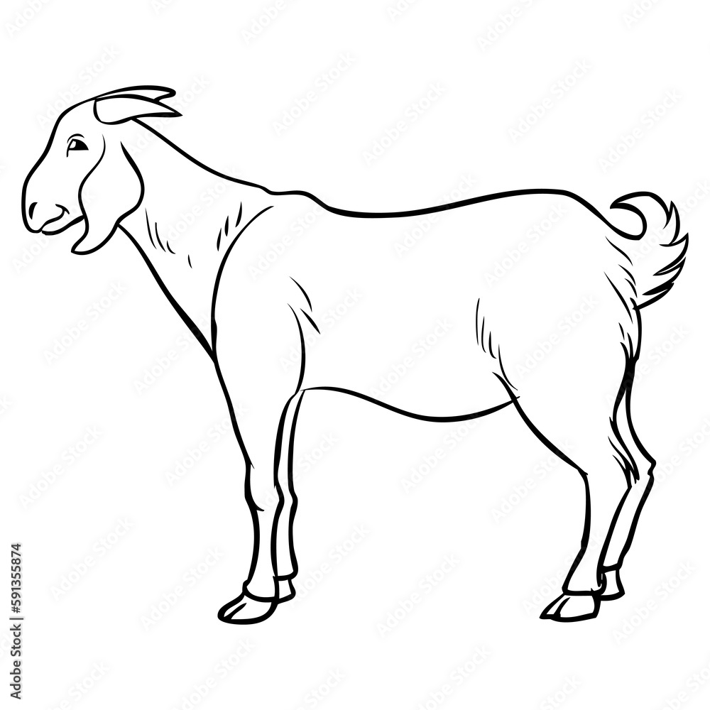 goat sketch vector illustration