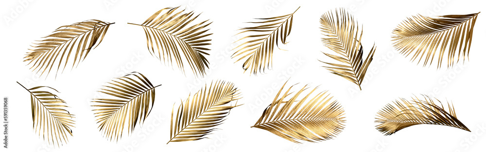 Golden palm leaf PNG on transparent background Abstract monstera leaf ...
