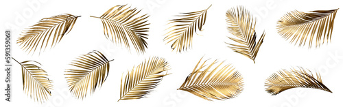 Golden palm leaf PNG on transparent background Abstract monstera leaf decoration design, PNG