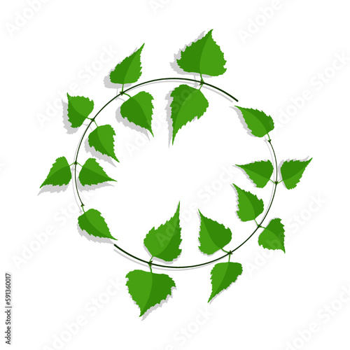 Decorative frame made of thin birch twigs and green leaves. Floral ornament for the design and decoration of invitations and posters. Round frame. Vector