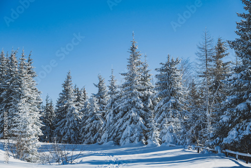 Alpine mountains landscape with white snow and blue sky. Sunset winter in nature. Frosty trees under warm sunlight.  Hiking winter to kralova hola, low tatras slovakia landscape photo