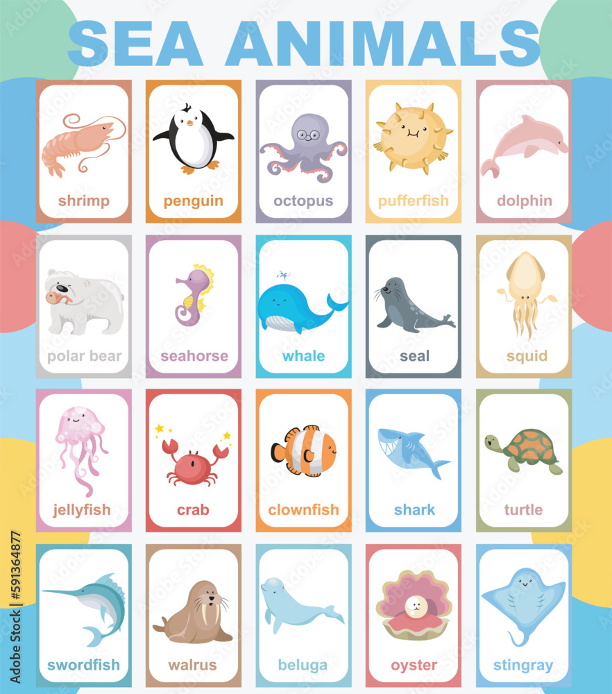 Sea animal poster. Educational printable poster. Vector illustrations.