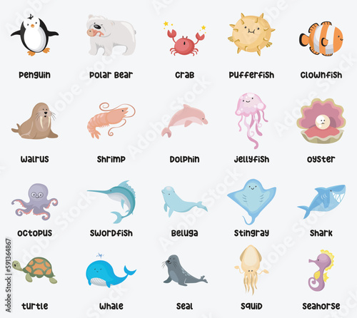 Sea animal poster. Educational printable poster. Vector illustrations.