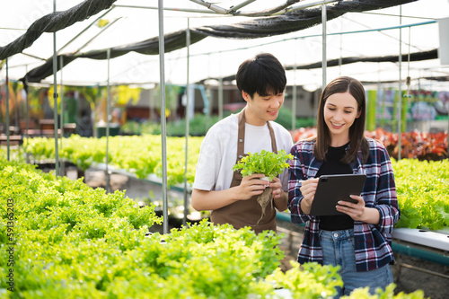 Wallpaper Mural Man and woman working on lettuce plantation in farm using tablet and laptop. Torontodigital.ca