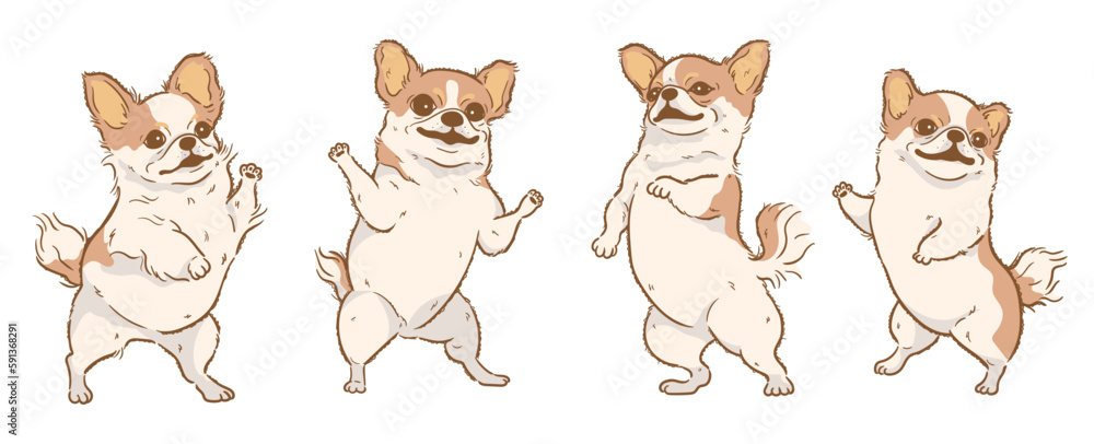 Fototapeta Happy Cartoon long haired chihuahua dog dancing pose set	