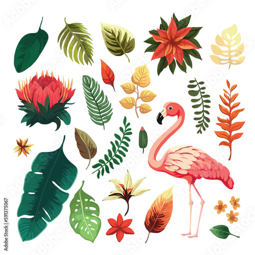 Set of flamingo and exotic plants, flowers. Flat vector tropical collection with palm leaves, jungle wildflowers, tropic elements. Tropic floral summer design 