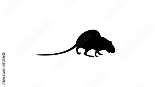 rat silhouette