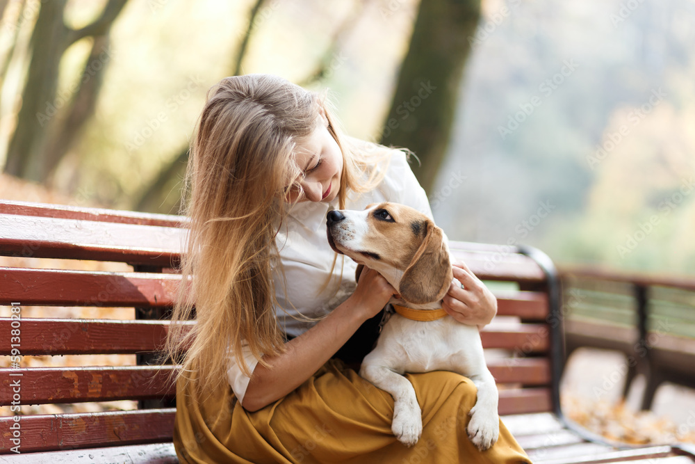 young blonde girl plays with a beagle dog in an autumn park young blonde girl plays with a beagle dog in an autumn park