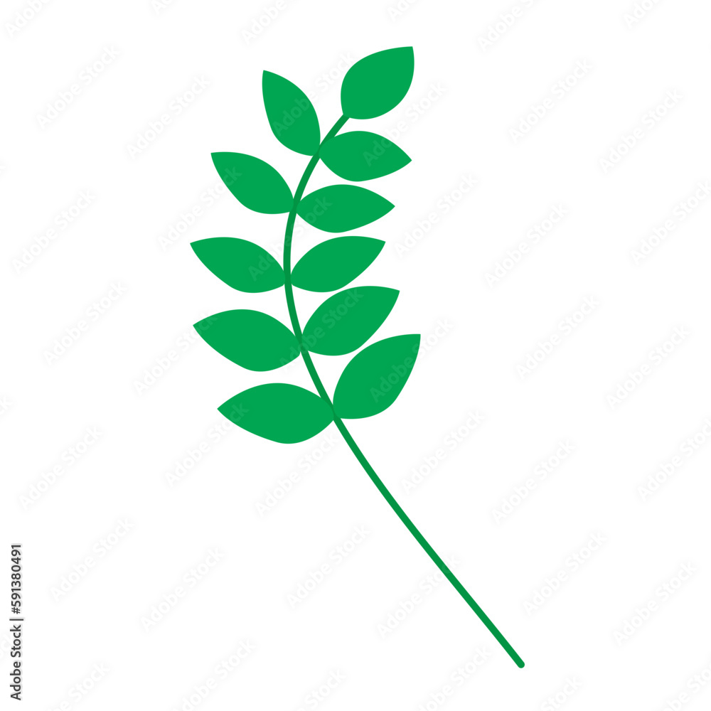 green leaf isolated on white background green leaf isolated on white background