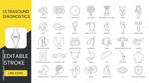 Ultrasound diagnostics line icons set in vector, kidneys and eye, ureter and pharynx, female reproductive system and adrenal glands, intestines and thyroid, larynx and lymph nodes. Editable stroke. photo