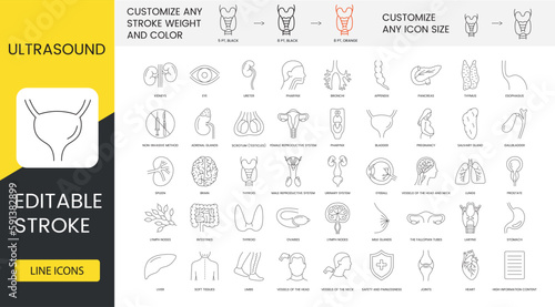 Ultrasound diagnostics in medical clinic set of line icons in vector, intestines and lymph nodes, minimum time and high information content, female reproductive system. Editable stroke.