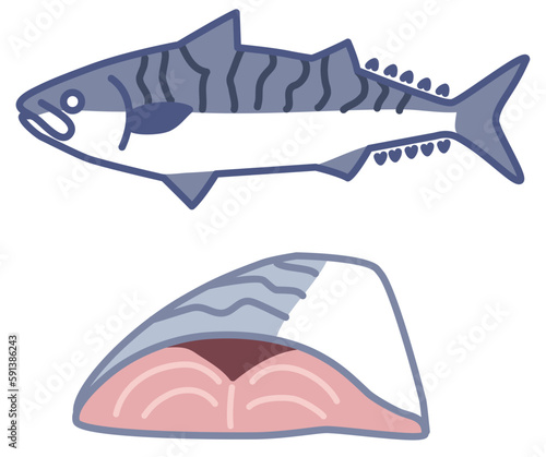 サバの姿と切り身のシンプルなベクターイラスト