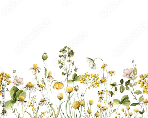 Watercolor floral seamless border. Hand painted frame of green leaves, wildflowers, field flowers, chamomile, daisy isolated on white background. Iillustration for design, print, background