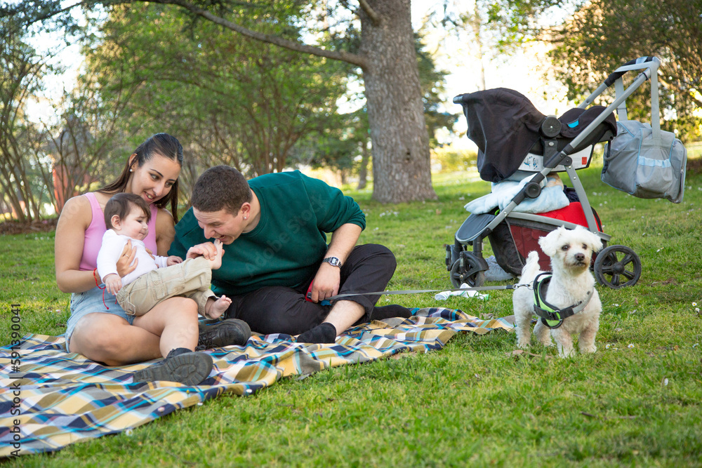 Obraz premium young couple picnicking in the park with their young son and dog