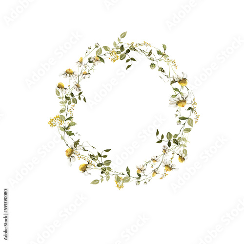 Watercolor floral wreath. Hand painted set of green leaves, wildflowers, field flowers, chamomile, daisy isolated on white background. Iillustration for design, print, background