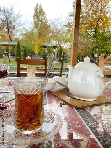 Teapot with tea on the table. Nature 