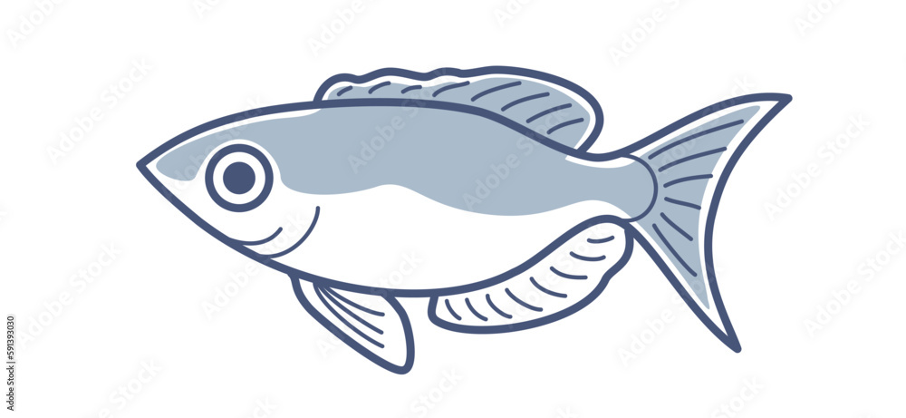 Fototapeta premium Vector outlineline illustration of sea fish ocean perch with partial fill.