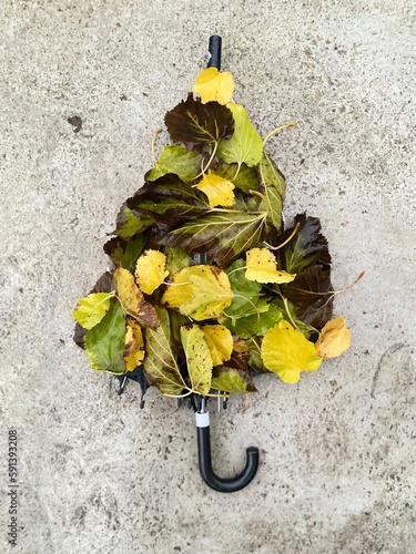 umbrella with fall autumn leaves idea concept