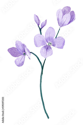 Fototapeta Naklejka Na Ścianę i Meble -  Flower watercolor painting for greeting card, invitation, poster, wedding decoration and other printing image. Illustration isolated on white.