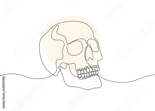 Continuous line drawing of human skull. Minimalist black linear sketch isolated on white background.