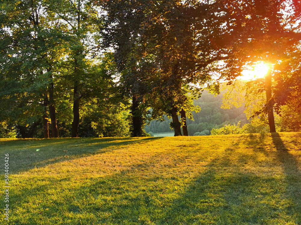 sunset in the green park